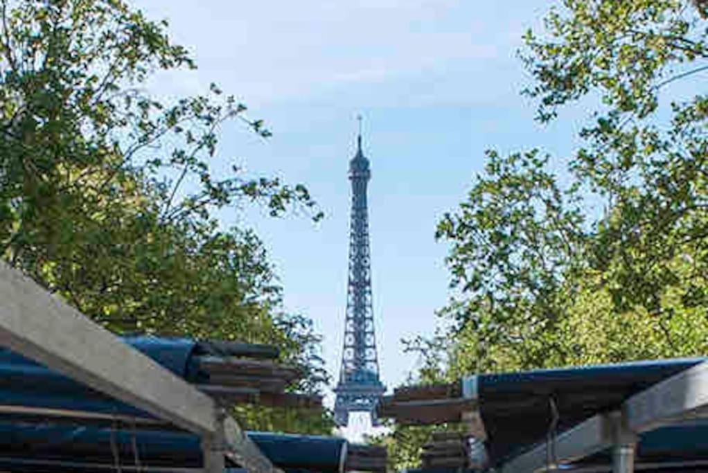 Parisian Muse By Suitehomeparis